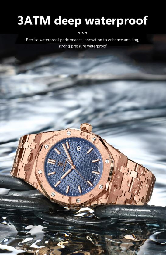POEDAGAR 924 Men’s Luxury Watch