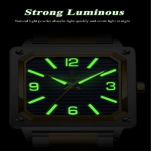 POEDAGAR 870 Luxury Elegant Men’s Watch