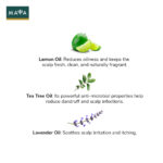 MAYA All Natural Hair Growth Scalp Serum