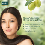 MAYA All Natural Cold-pressed Olive Oil -120 ml