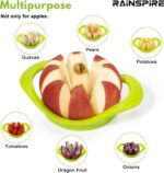 Apple Cutter Slicer, Apple Slicer and Corer Tool