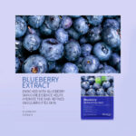 Bioaqua Blueberry Moisturizing Sheet Mask 25g