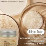 The Face Shop Rice & Ceramide Moisturizing Cream – 50ml