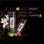 Wild Stone Legend Deodorant for Men -150ml